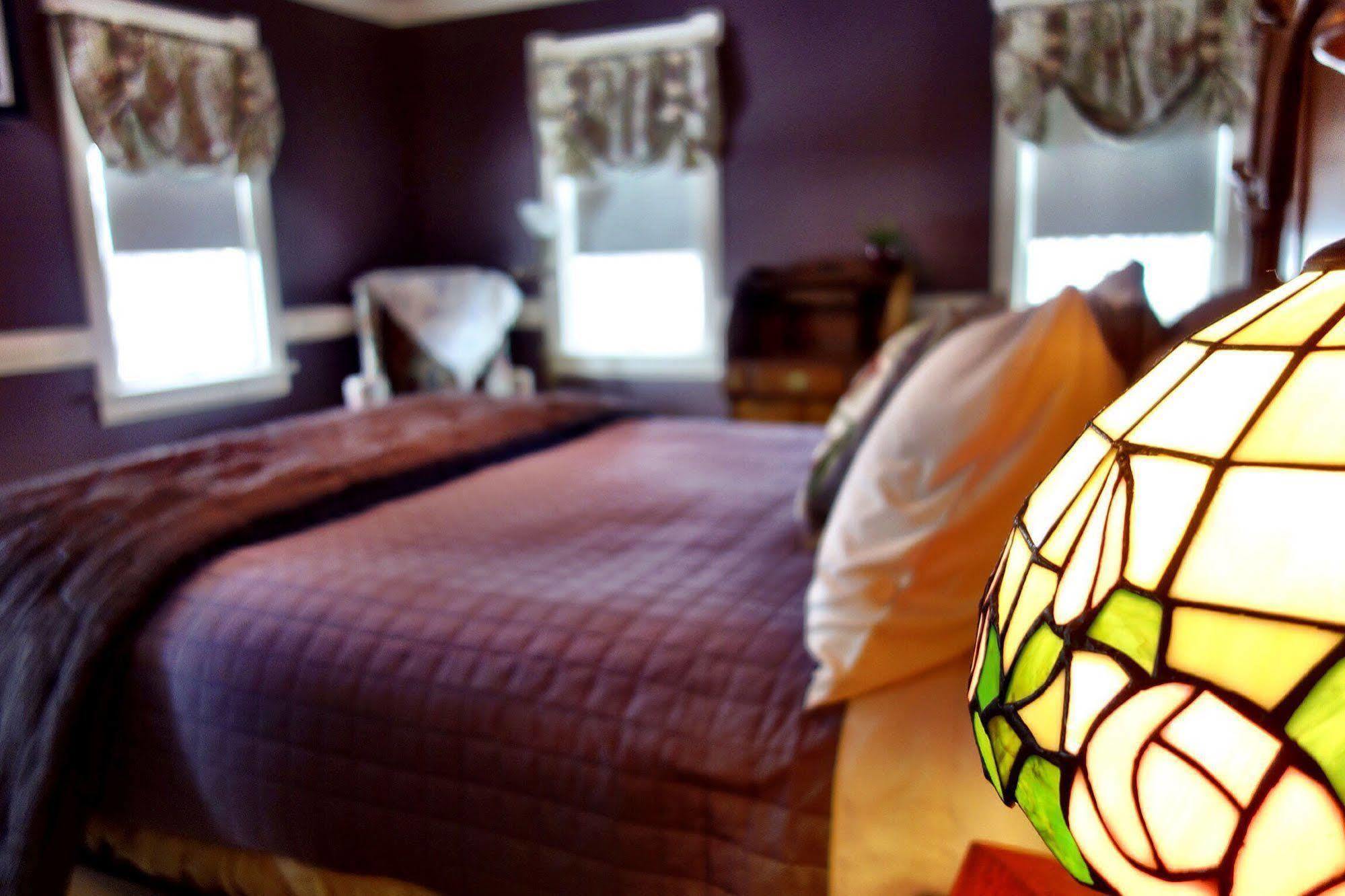 뉴 캐슬 The Jacqueline House B&B 외부 사진